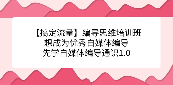【搞定流量】编导思维培训班,想成为优秀自媒体编导先学自媒体编导通识1.0网创吧-网创项目资源站-副业项目-创业项目-搞钱项目网创吧