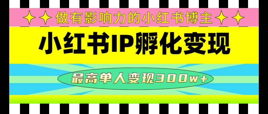 某收费培训-小红书IP孵化变现:做有影响力的小红书博主网创吧-网创项目资源站-副业项目-创业项目-搞钱项目网创吧