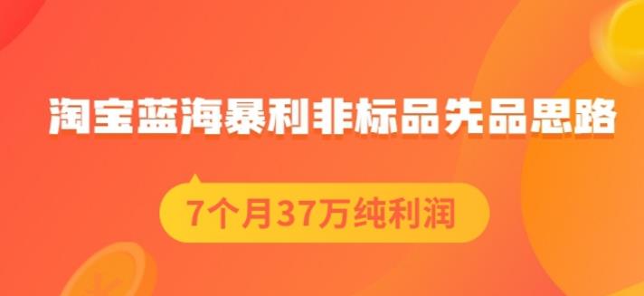 盗坤淘宝蓝海暴利非标品先品思路,7个月37万纯利润,压箱干货分享!【付费文章】网创吧-网创项目资源站-副业项目-创业项目-搞钱项目网创吧