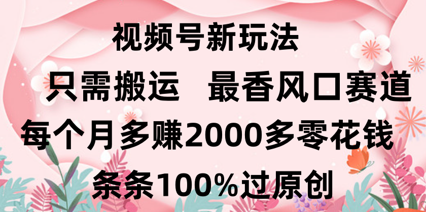 日入2000+,条条100%过原创,视频号最香风口赛道,小白轻松上手网创吧-网创项目资源站-副业项目-创业项目-搞钱项目网创吧