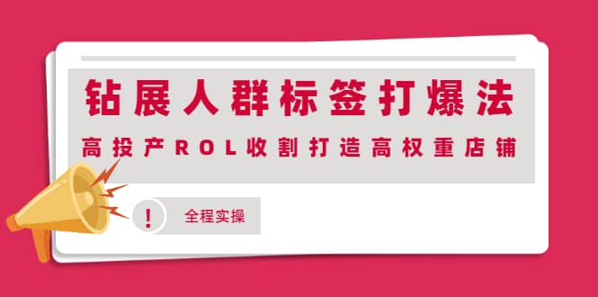 钻展人群标签打爆法,高投产ROL收割打造高权重店铺(全程实操)网创吧-网创项目资源站-副业项目-创业项目-搞钱项目网创吧